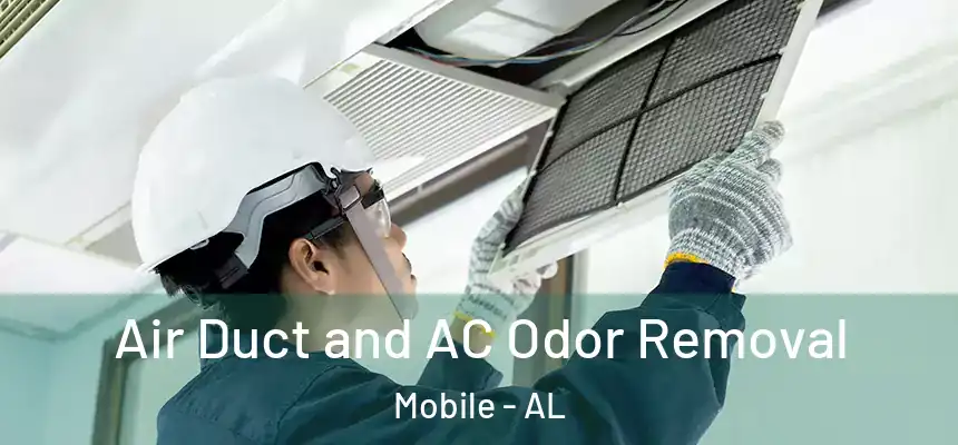  Air Duct and AC Odor Removal Mobile - AL