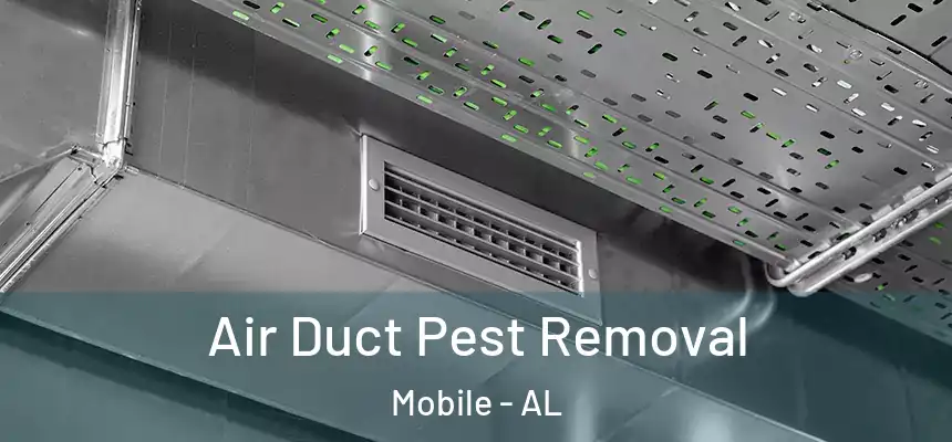 Air Duct Pest Removal Mobile - AL