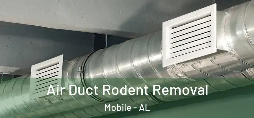Air Duct Rodent Removal Mobile - AL