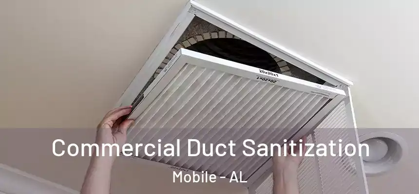 Commercial Duct Sanitization Mobile - AL