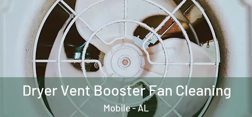  Dryer Vent Booster Fan Cleaning Mobile - AL