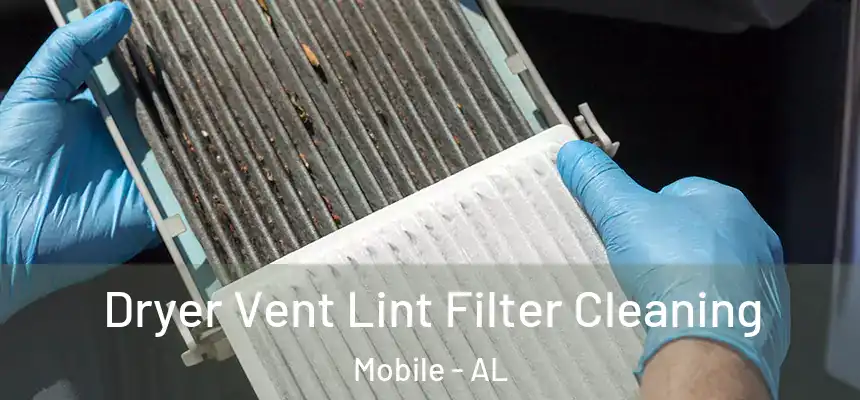 Dryer Vent Lint Filter Cleaning Mobile - AL