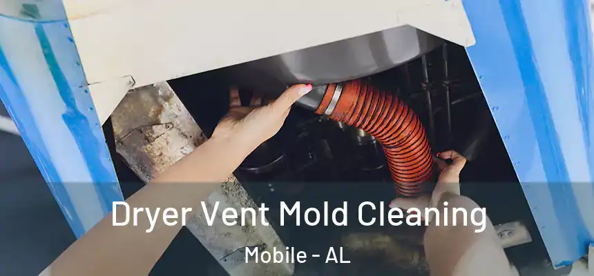 Dryer Vent Mold Cleaning Mobile - AL