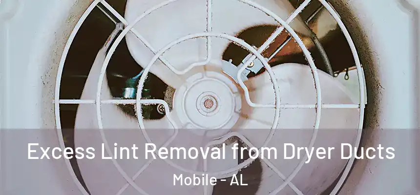 Excess Lint Removal from Dryer Ducts Mobile - AL