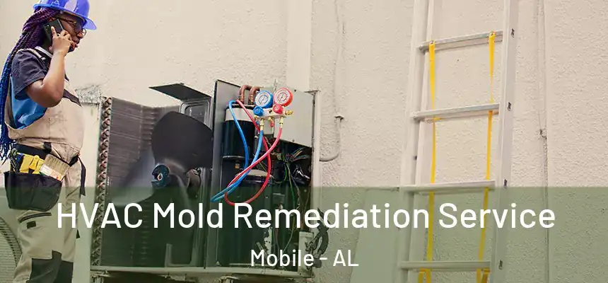 HVAC Mold Remediation Service Mobile - AL