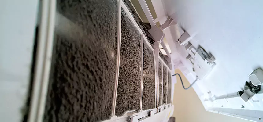 Preventive Air Duct Bacteria Removal in Mobile