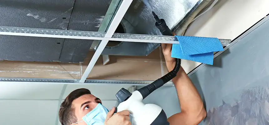 Our Air Duct Rodent Removal Services in Mobile, AL