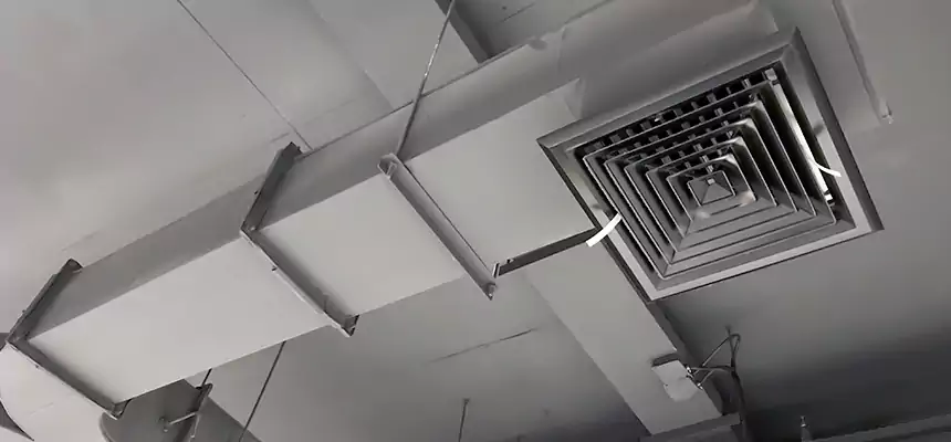 Restorative Allergy Relief Vent Cleaning – Coil, Blower & Housing Detail in Mobile