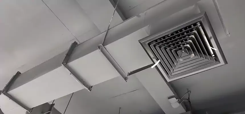 Our Pest Removal From Ducts Services in Mobile, AL