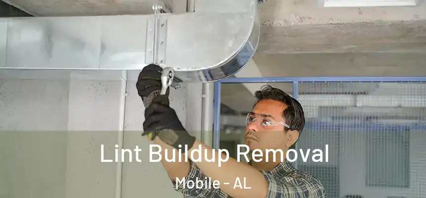Lint Buildup Removal Mobile - AL
