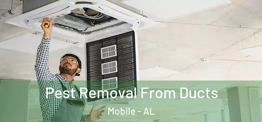  Pest Removal From Ducts Mobile - AL