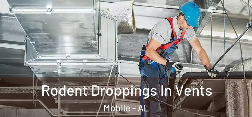 Rodent Droppings In Vents Mobile - AL