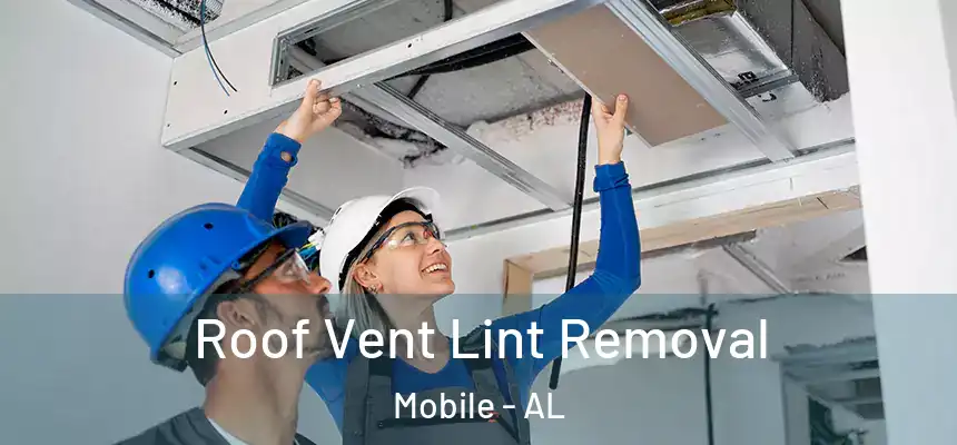 Roof Vent Lint Removal Mobile - AL