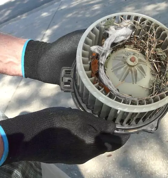 About Air Duct Rat Removal in Mobile, AL