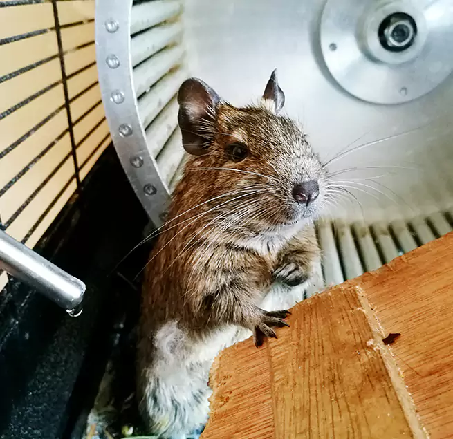 Why Homeowners & Businesses Trust Us Mobile, AL?