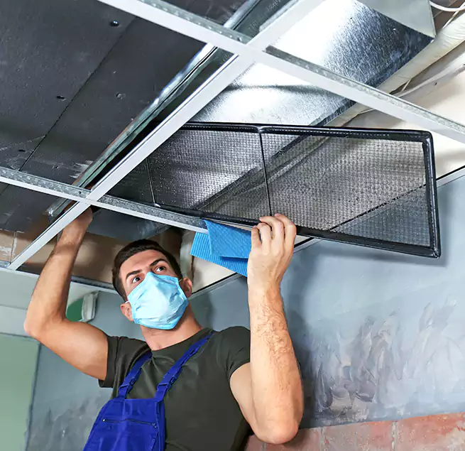 Why Homeowners Businesses Trust Us in Mobile, AL