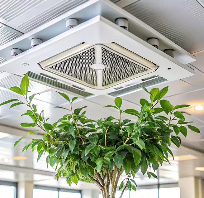 Why Homeowners & Businesses Trust Us in Mobile, AL?