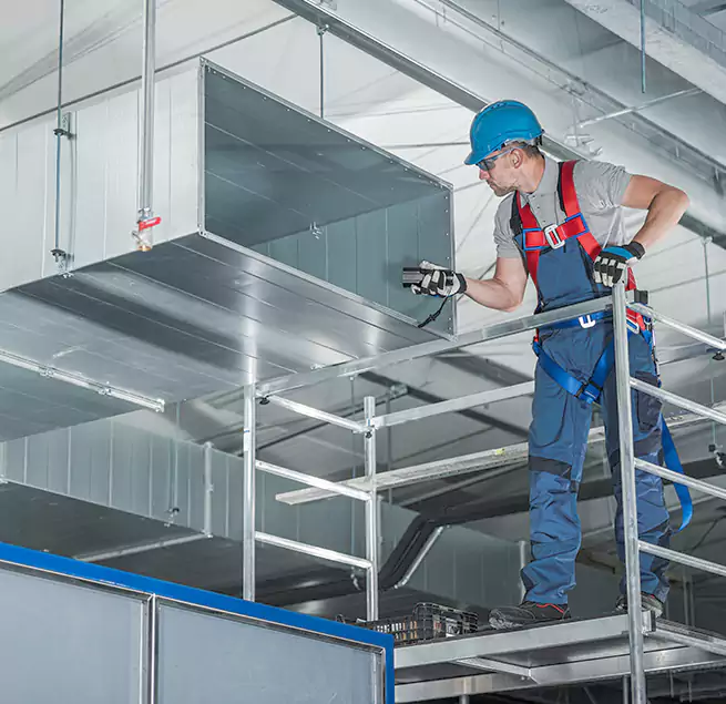 Why Homeowners Businesses Trust Us in Mobile, AL