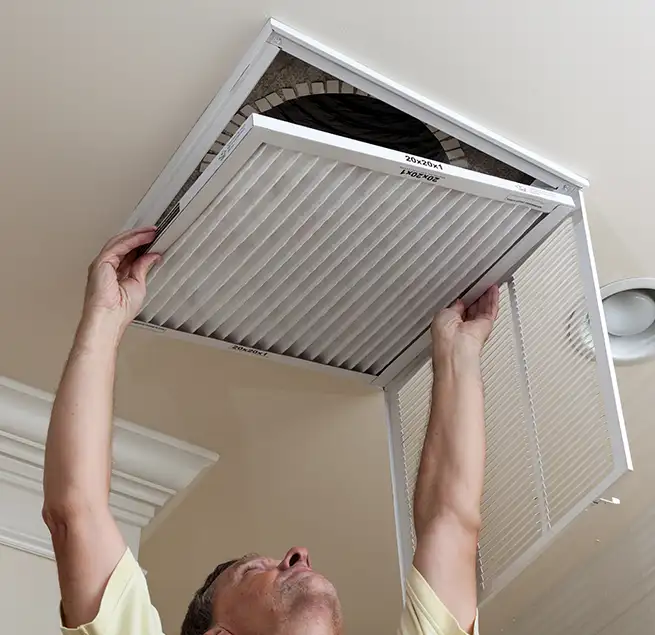 Why Homeowners & Businesses Trust Us in Mobile, AL?