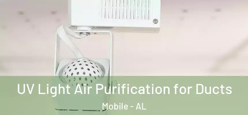 UV Light Air Purification for Ducts Mobile - AL