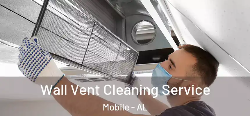 Wall Vent Cleaning Service Mobile - AL
